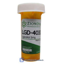 Kits 125 LDG 4033 Zionova 1